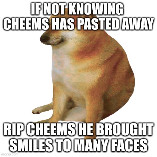 cheems | IF NOT KNOWING  CHEEMS HAS PASTED AWAY; RIP CHEEMS HE BROUGHT SMILES TO MANY FACES | image tagged in cheems | made w/ Imgflip meme maker