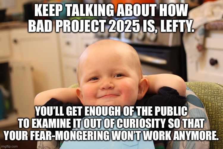 Ever hear of the Streisand Effect? | KEEP TALKING ABOUT HOW BAD PROJECT 2025 IS, LEFTY. YOU’LL GET ENOUGH OF THE PUBLIC TO EXAMINE IT OUT OF CURIOSITY SO THAT YOUR FEAR-MONGERING WON’T WORK ANYMORE. | image tagged in baby boss relaxed smug content | made w/ Imgflip meme maker