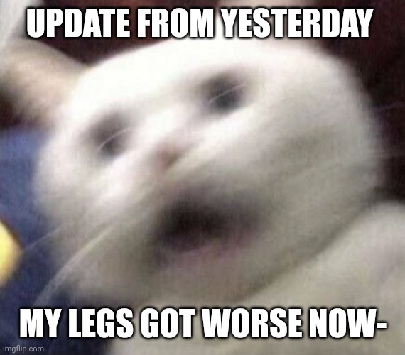 raHHHGGGGGG | UPDATE FROM YESTERDAY; MY LEGS GOT WORSE NOW- | image tagged in cat shaking | made w/ Imgflip meme maker