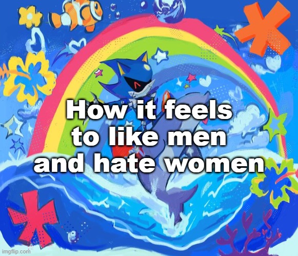 Happy Dolphin Rainbow (Metal Sonic) | How it feels to like men and hate women | image tagged in happy dolphin rainbow metal sonic | made w/ Imgflip meme maker