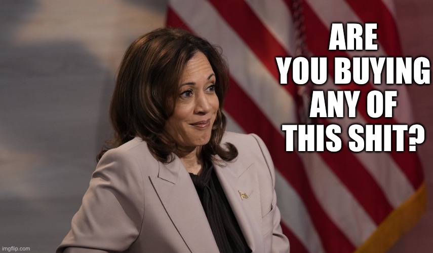 Kamala has a question of her own… | ARE YOU BUYING ANY OF THIS SHIT? | image tagged in are you buying any of this shit,kamala | made w/ Imgflip meme maker