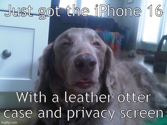 Traded it in, but the screen and case cost me almost 500 bucks, sheesh | Just got the iPhone 16; With a leather otter case and privacy screen | image tagged in memes,high dog | made w/ Imgflip meme maker