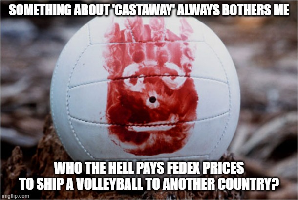 Plus Shipping and Handling | SOMETHING ABOUT 'CASTAWAY' ALWAYS BOTHERS ME; WHO THE HELL PAYS FEDEX PRICES TO SHIP A VOLLEYBALL TO ANOTHER COUNTRY? | image tagged in wilson volleyball castaway | made w/ Imgflip meme maker