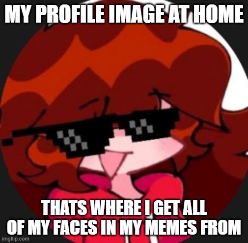 MY PROFILE IMAGE AT HOME; THATS WHERE I GET ALL OF MY FACES IN MY MEMES FROM | made w/ Imgflip meme maker