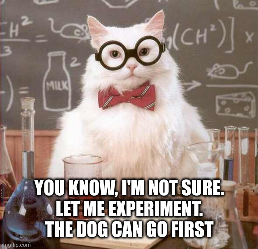 cat scientist | YOU KNOW, I'M NOT SURE.
LET ME EXPERIMENT.
THE DOG CAN GO FIRST | image tagged in cat scientist | made w/ Imgflip meme maker