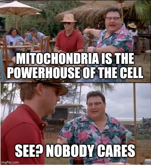 School in two sentences | MITOCHONDRIA IS THE POWERHOUSE OF THE CELL; SEE? NOBODY CARES | image tagged in memes,see nobody cares | made w/ Imgflip meme maker