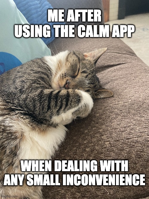 calm | ME AFTER USING THE CALM APP; WHEN DEALING WITH ANY SMALL INCONVENIENCE | image tagged in cat | made w/ Imgflip meme maker