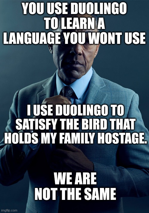 Gus Fring we are not the same | YOU USE DUOLINGO TO LEARN A LANGUAGE YOU WONT USE; I USE DUOLINGO TO SATISFY THE BIRD THAT HOLDS MY FAMILY HOSTAGE. WE ARE NOT THE SAME | image tagged in gus fring we are not the same | made w/ Imgflip meme maker