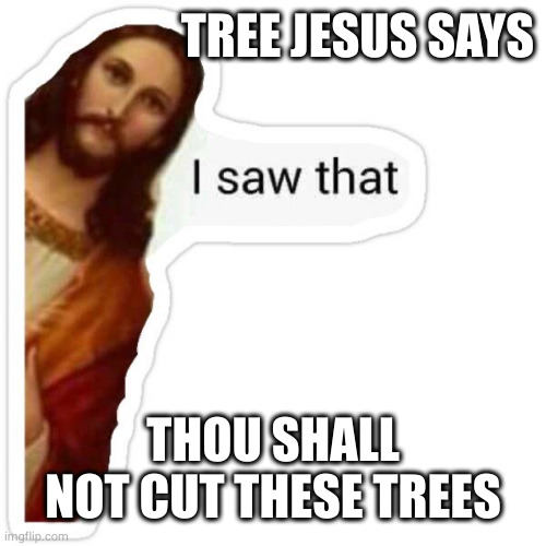 Jesus I saw that meme | TREE JESUS SAYS; THOU SHALL NOT CUT THESE TREES | image tagged in jesus i saw that meme | made w/ Imgflip meme maker