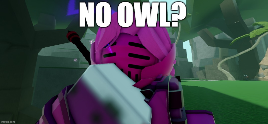 No Deep Owl? | NO OWL? | image tagged in deepwoken | made w/ Imgflip meme maker