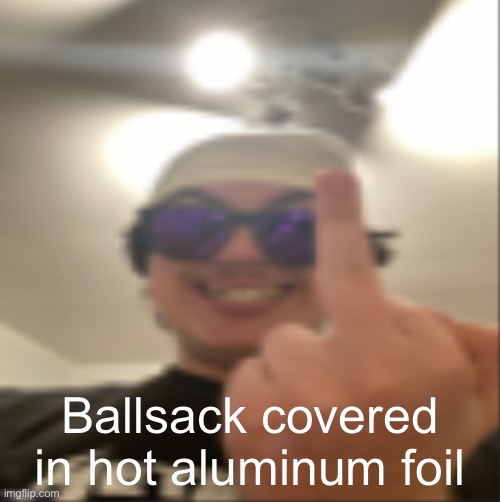 Average new jersian greeting | Ballsack covered in hot aluminum foil | image tagged in average new jersian greeting | made w/ Imgflip meme maker