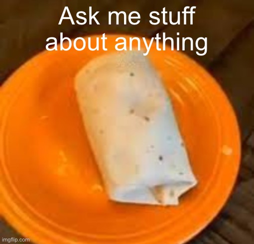 JimmyHere Burrito | Ask me stuff about anything | image tagged in jimmyhere burrito | made w/ Imgflip meme maker