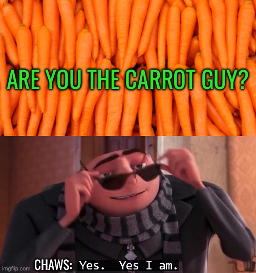 Chaws appreciation post: “Are you the carrot guy”? | ARE YOU THE CARROT GUY? CHAWS: | image tagged in carrots,gru yes yes i am,despicable me,carrot,school,lgbtq | made w/ Imgflip meme maker