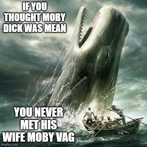 Moby and His Wife | IF YOU THOUGHT MOBY DICK WAS MEAN; YOU NEVER MET HIS WIFE MOBY VAG | image tagged in moby dick | made w/ Imgflip meme maker