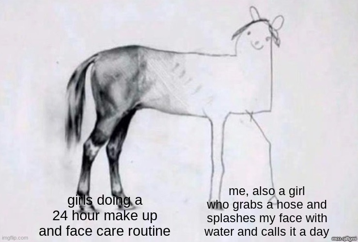 I hate makeup | me, also a girl who grabs a hose and splashes my face with water and calls it a day; girls doing a 24 hour make up and face care routine | image tagged in horse drawing | made w/ Imgflip meme maker