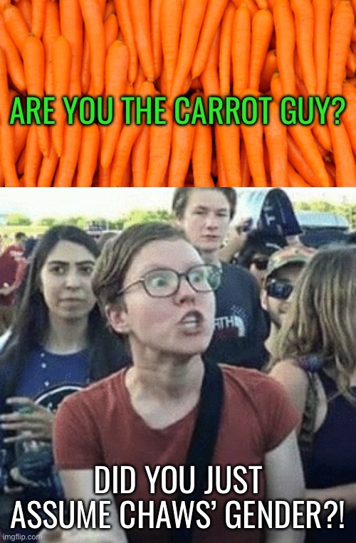 Chaws appreciation post: “Are you the carrot guy”? #2 | DID YOU JUST ASSUME CHAWS’ GENDER?! | image tagged in gender outrage,carrots,carrot,school,lgbtq,gender | made w/ Imgflip meme maker