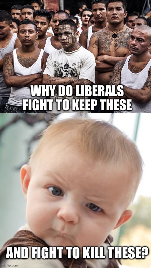 WHY DO LIBERALS FIGHT TO KEEP THESE; AND FIGHT TO KILL THESE? | image tagged in ms-13 dreamers daca,memes,skeptical baby | made w/ Imgflip meme maker