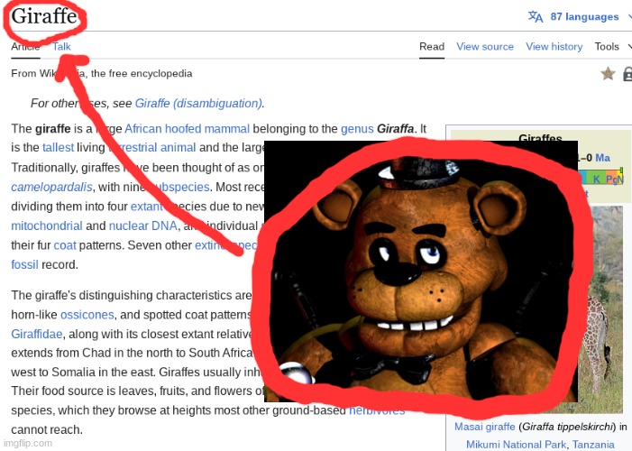 Five Nights at the Zoo | image tagged in five nights at freddy's,fnaf,freddy fazbear,name soundalikes,memes,dank memes | made w/ Imgflip meme maker