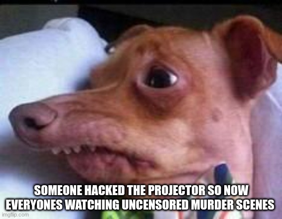 lisp dog | SOMEONE HACKED THE PROJECTOR SO NOW EVERYONES WATCHING UNCENSORED MURDER SCENES | image tagged in lisp dog | made w/ Imgflip meme maker