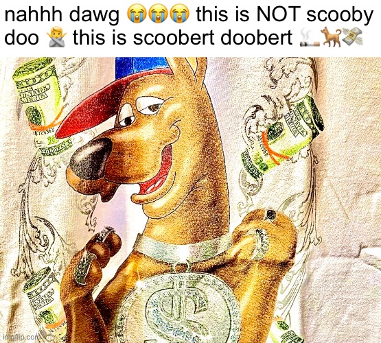 bootleg scooby doo | nahhh dawg 😭😭😭 this is NOT scooby doo 🙅 this is scoobert doobert 🚬🐕💸 | image tagged in scooby doo,bootleg | made w/ Imgflip meme maker