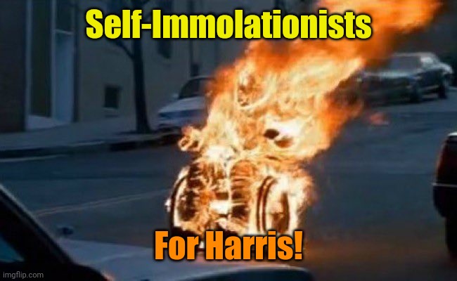 Man in Chair on Fire | Self-Immolationists For Harris! | image tagged in man in chair on fire | made w/ Imgflip meme maker