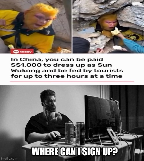 Gigachad On The Computer | WHERE CAN I SIGN UP? | image tagged in gigachad on the computer,memes,shitpost,funny memes,humor,gigachad | made w/ Imgflip meme maker