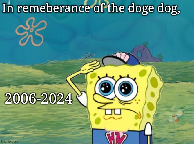 Spongebob salute | In remeberance of the doge dog, 2006-2024 | image tagged in spongebob salute | made w/ Imgflip meme maker