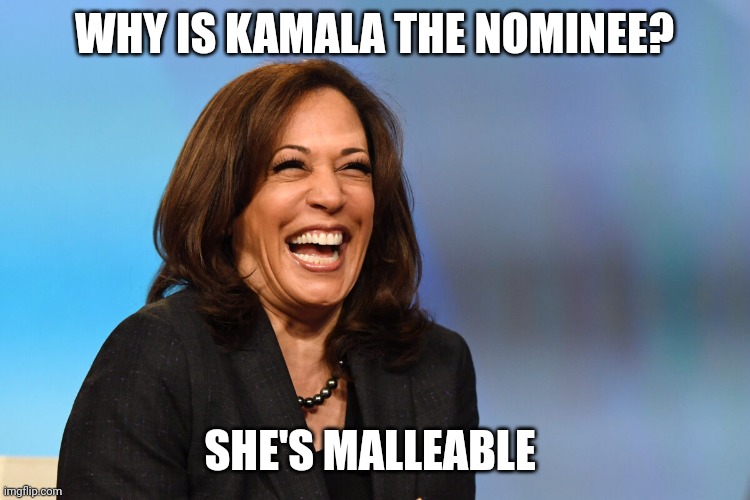 TRUMP 2024 | WHY IS KAMALA THE NOMINEE? SHE'S MALLEABLE | image tagged in kamala harris laughing | made w/ Imgflip meme maker