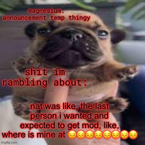 pug temp | nat was like, the last person i wanted and expected to get mod, like, where is mine at 😔😔😔😔😔😔😔😔 | image tagged in pug temp | made w/ Imgflip meme maker