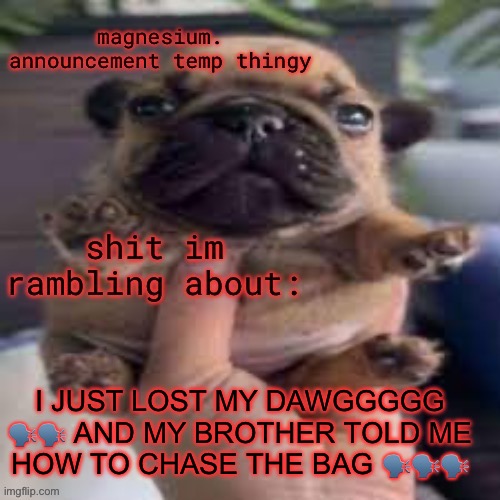 I might eat rawmen | I JUST LOST MY DAWGGGGG 🗣️🗣️ AND MY BROTHER TOLD ME HOW TO CHASE THE BAG 🗣️🗣️🗣️ | image tagged in pug temp | made w/ Imgflip meme maker