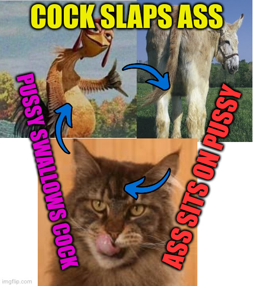 rock paper scissors reskinned | COCK SLAPS ASS; PUSSY SWALLOWS COCK; ASS SITS ON PUSSY | image tagged in blank white template | made w/ Imgflip meme maker