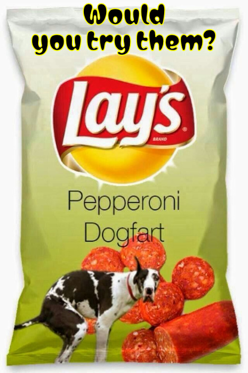 Pepperoni Dog Fart | Would you try them? | image tagged in memes,farts,funny dogs,potato chips,flavor flav,i dare you | made w/ Imgflip meme maker