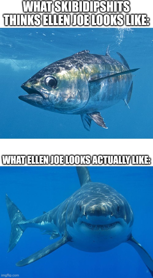 WHAT SKIBIDIPSHITS THINKS ELLEN JOE LOOKS LIKE:; WHAT ELLEN JOE LOOKS ACTUALLY LIKE: | image tagged in tuna fish,great white shark | made w/ Imgflip meme maker