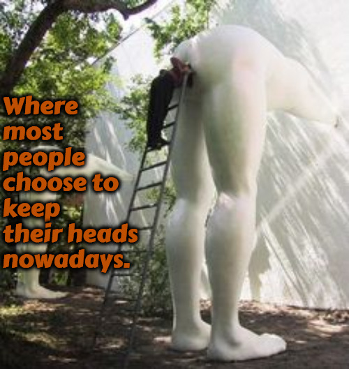 Where People's Heads Are | Where most people choose to keep their heads nowadays. | image tagged in memes,funny,truth hurts,head up ass,morally stupid,society sucks | made w/ Imgflip meme maker