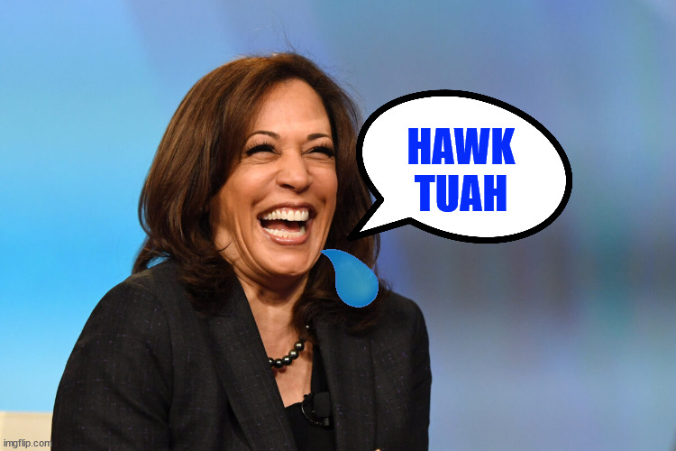 Kamala Harris laughing | HAWK TUAH | image tagged in kamala harris laughing | made w/ Imgflip meme maker