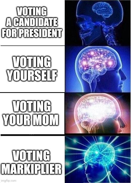 Man I haven't posted in awhile, anyway. (You can actually vote him president) | VOTING A CANDIDATE FOR PRESIDENT; VOTING YOURSELF; VOTING YOUR MOM; VOTING MARKIPLIER | image tagged in memes,expanding brain | made w/ Imgflip meme maker