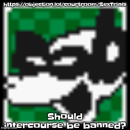 https://objection.lol/courtroom/SexTrials | https://objection.lol/courtroom/SexTrials; Should intercourse be banned? | image tagged in low quality dob | made w/ Imgflip meme maker