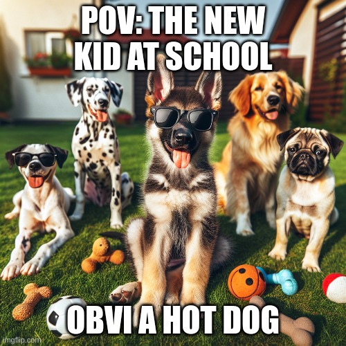 New Kid | POV: THE NEW KID AT SCHOOL; OBVI A HOT DOG | made w/ Imgflip meme maker