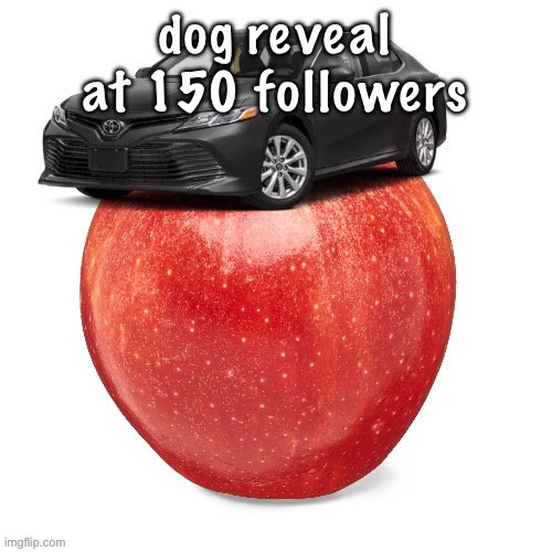 CamryApple | dog reveal at 150 followers | image tagged in camryapple | made w/ Imgflip meme maker