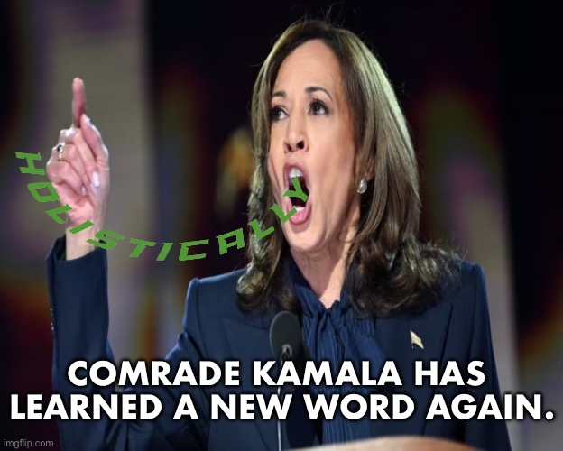 Comrade Kamala has learned a new word. | COMRADE KAMALA HAS 
LEARNED A NEW WORD AGAIN. | image tagged in kamala harris,democrat party,word,presidential election,communist,marxism | made w/ Imgflip meme maker