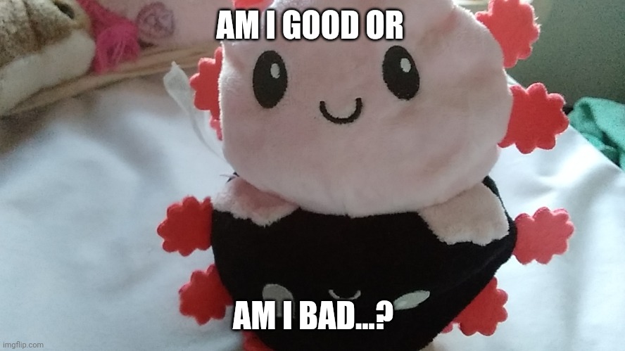 The bad or good? | AM I GOOD OR; AM I BAD...? | image tagged in axolotl | made w/ Imgflip meme maker