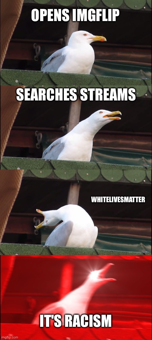 Inhaling Seagull Meme | OPENS IMGFLIP; SEARCHES STREAMS; WHITELIVESMATTER; IT'S RACISM | image tagged in memes,inhaling seagull | made w/ Imgflip meme maker