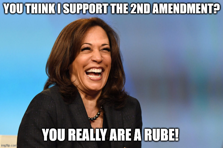 Kamala Harris laughing | YOU THINK I SUPPORT THE 2ND AMENDMENT? YOU REALLY ARE A RUBE! | image tagged in kamala harris laughing | made w/ Imgflip meme maker