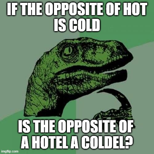 Philosoraptor on hotels | IF THE OPPOSITE OF HOT
IS COLD; IS THE OPPOSITE OF 
A HOTEL A COLDEL? | image tagged in memes,philosoraptor,wordplay,humor,hot,cold | made w/ Imgflip meme maker