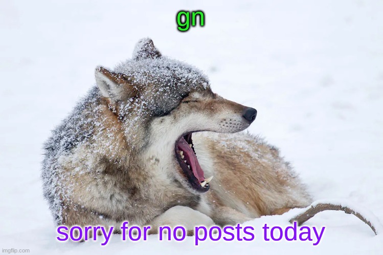 Yawning wolf | gn; sorry for no posts today | image tagged in yawning wolf | made w/ Imgflip meme maker