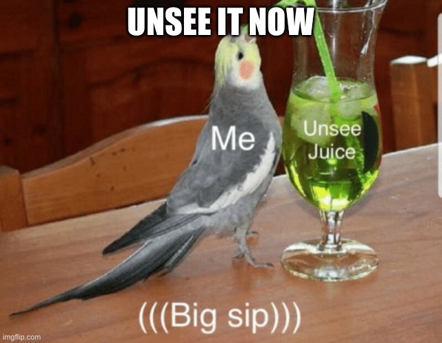 Unsee juice | UNSEE IT NOW | image tagged in unsee juice | made w/ Imgflip meme maker