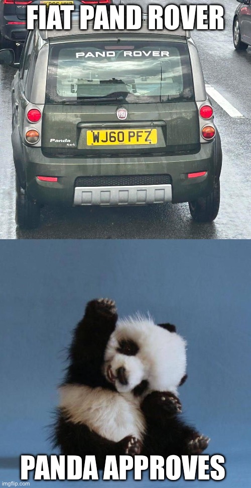 Panda approves | FIAT PAND ROVER; PANDA APPROVES | image tagged in panda,fiat | made w/ Imgflip meme maker