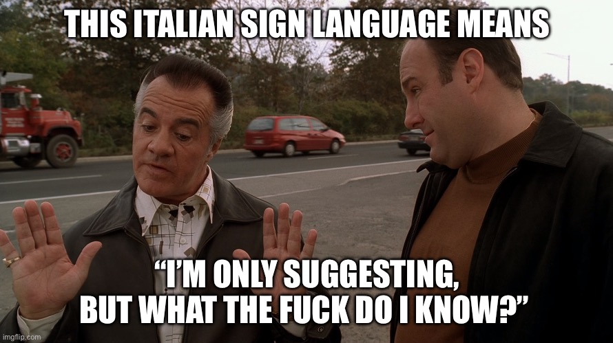 Vaffanculo | THIS ITALIAN SIGN LANGUAGE MEANS; “I’M ONLY SUGGESTING, BUT WHAT THE FUCK DO I KNOW?” | image tagged in paulie talks with the italian hands to tony soprano | made w/ Imgflip meme maker