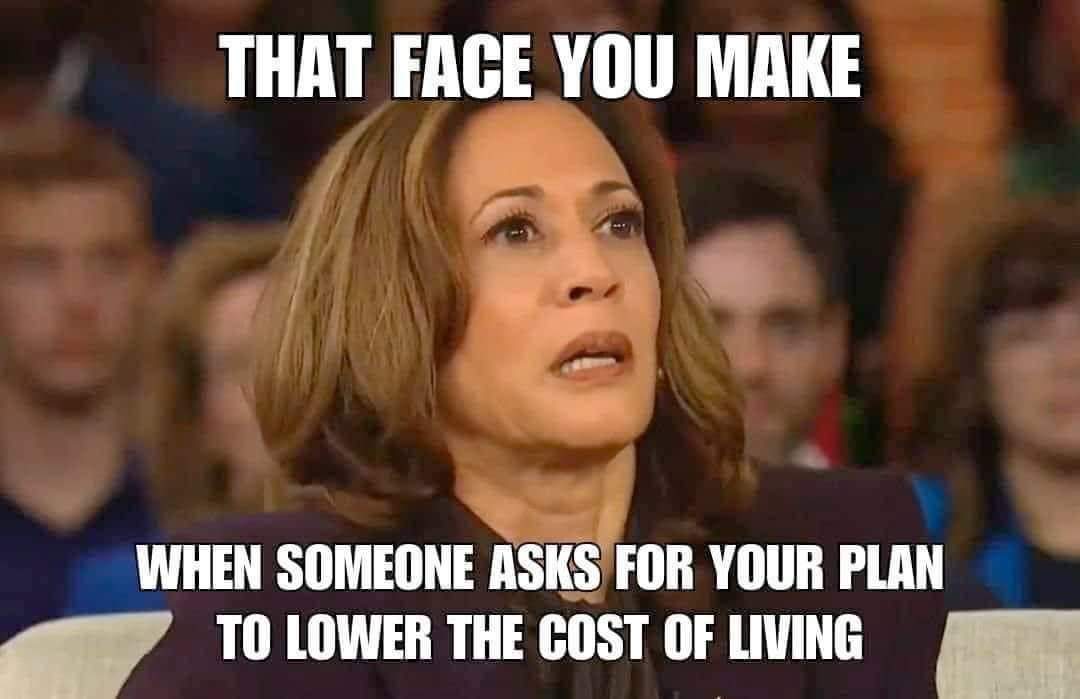 Kamala confused Blank Meme Template