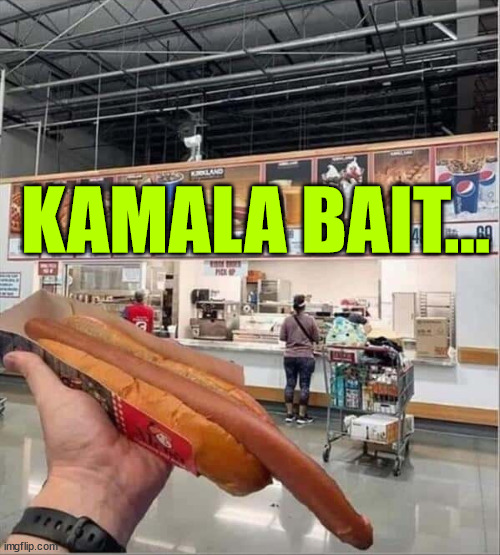 KAMALA BAIT... | made w/ Imgflip meme maker